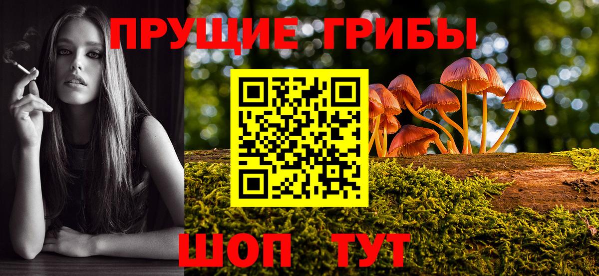 где найти   Псилоцибиновые грибы мухоморы  Вход с VPN  Севастополь 