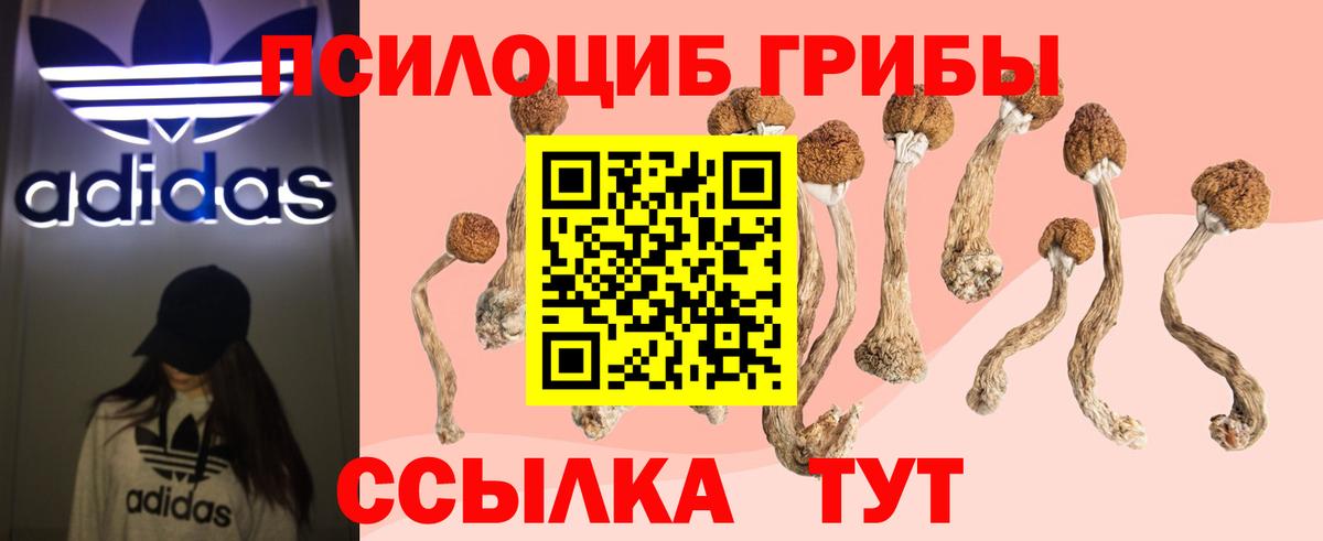 Галлюциногенные грибы Magic Shrooms Севастополь